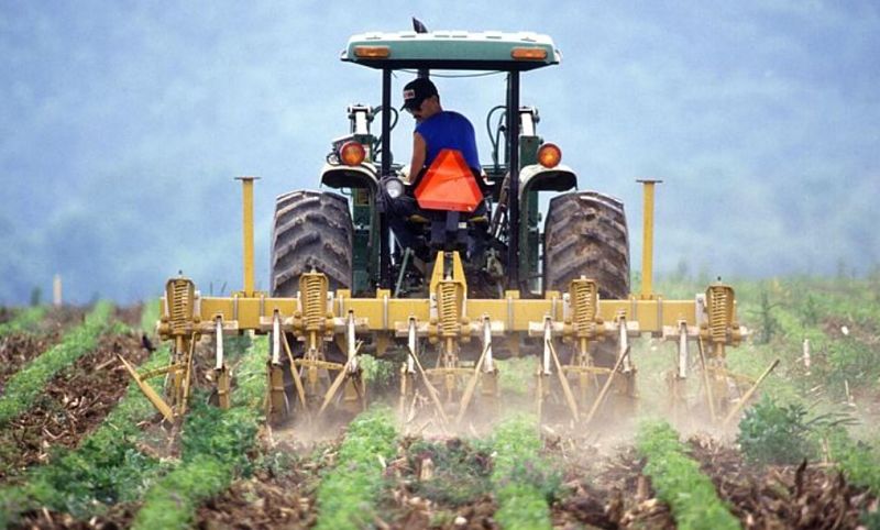 ¿Cuáles son los mejores programas para trabajadores agrícolas en Estados Unidos y Canadá?