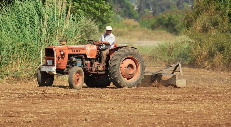 1. Programa de Trabajadores Agrícolas Temporales (PTAT)